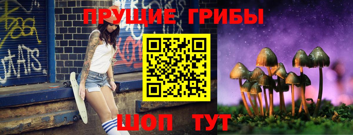 Псилоцибиновые грибы Psilocybe  Галлюциногенные грибы ЛСД  Елизово  где можно купить наркотик  Вход с VPN 